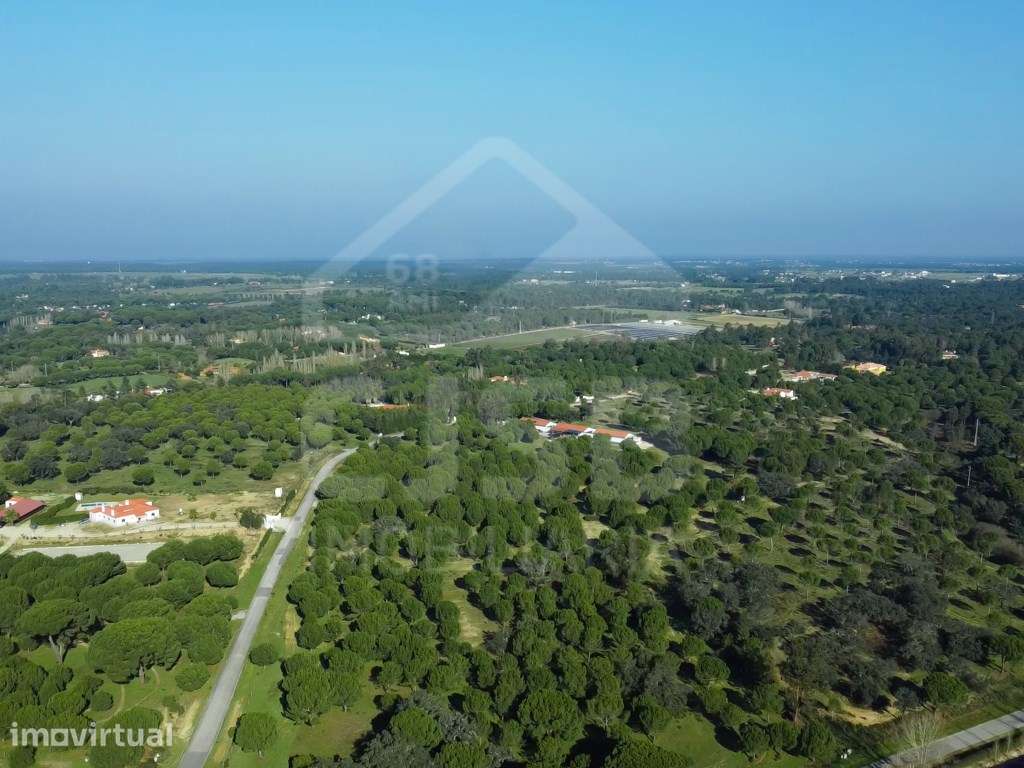 Terreno na Mata do Duque II, Santo Estêvão - Grande imagem: 2/6