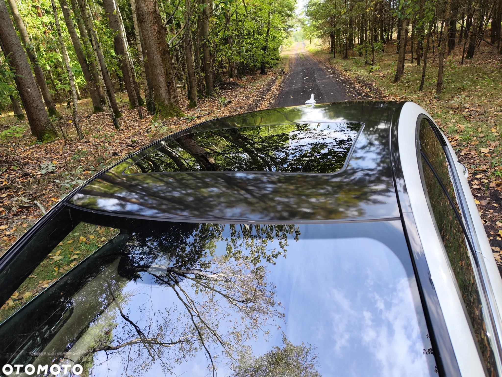 Mercedes-Benz Klasa S 500 L BlueEFFICIENCY 7G-TRONIC - 11