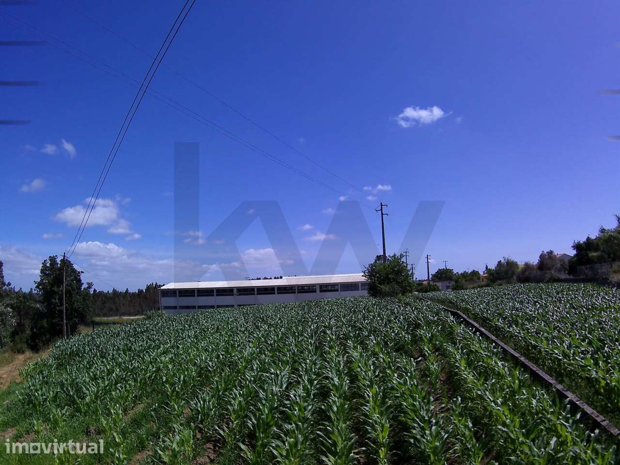 Oportunidade de Investimento: Terreno de 1020m2 para Fins Industriais/ - Grande imagem: 5/7