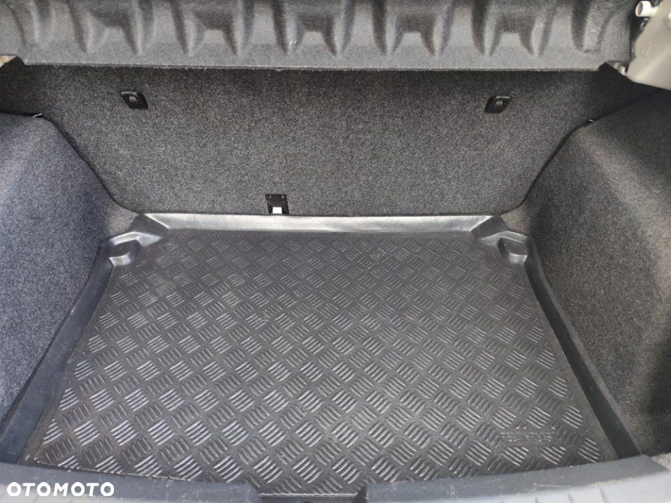 Seat Ibiza - 29