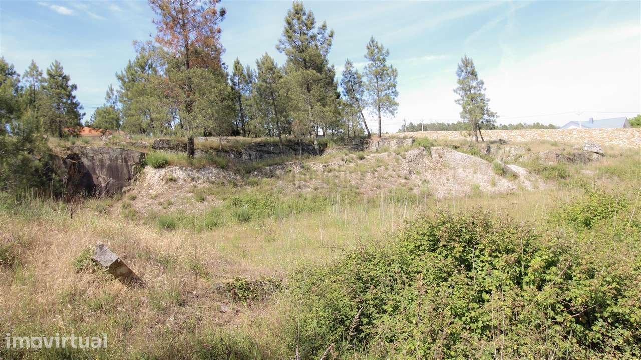 Terreno para Construção - Mangualde - Grande imagem: 4/4
