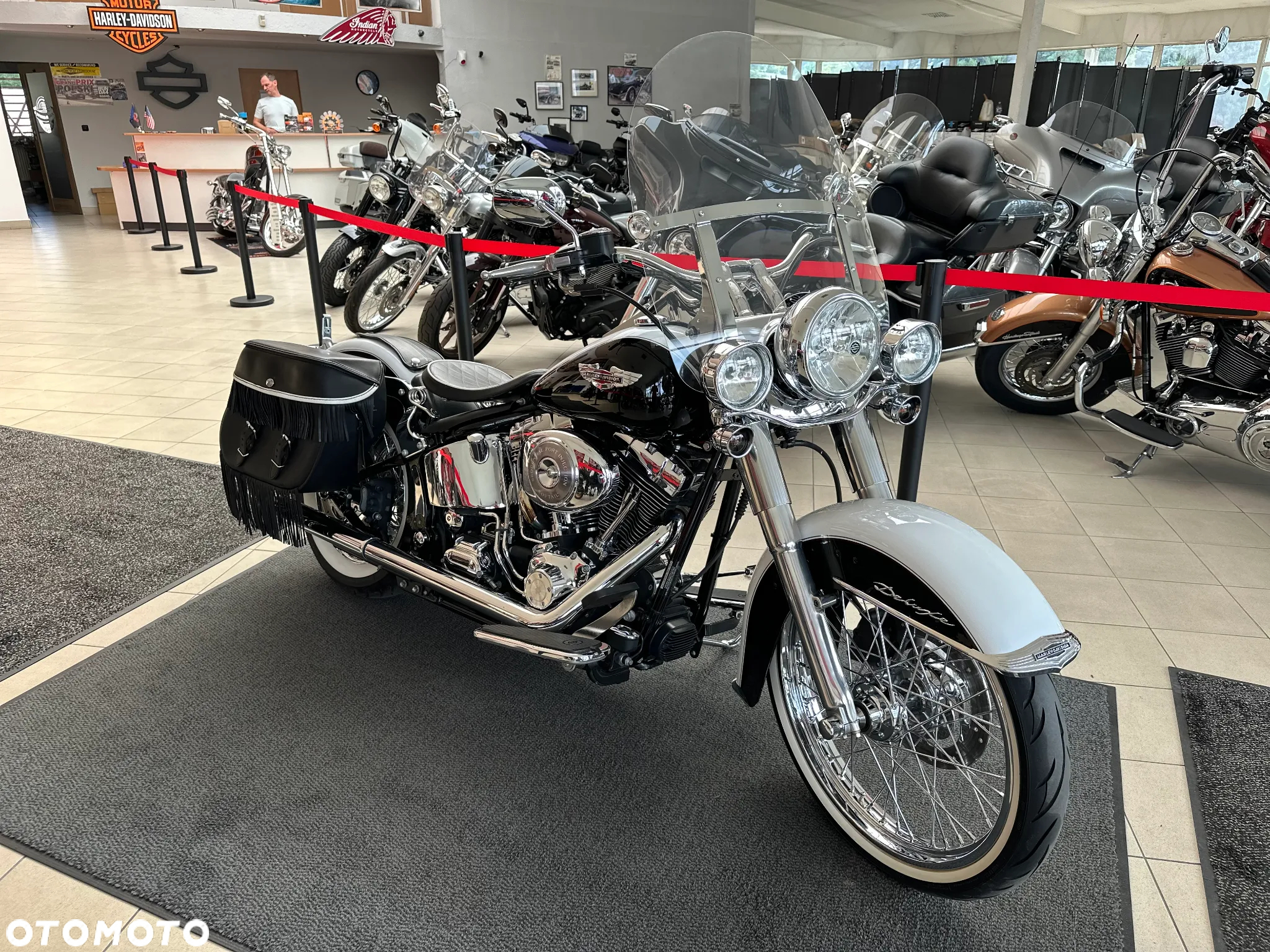 Harley-Davidson Softail - 3