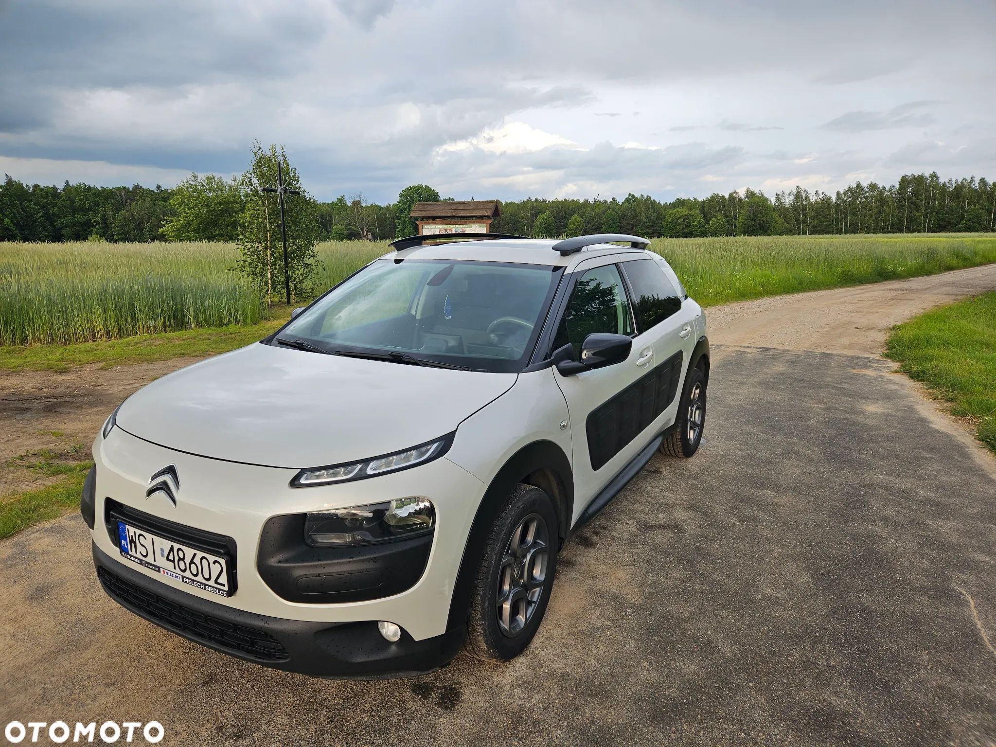 Citroën C4 Cactus - 1