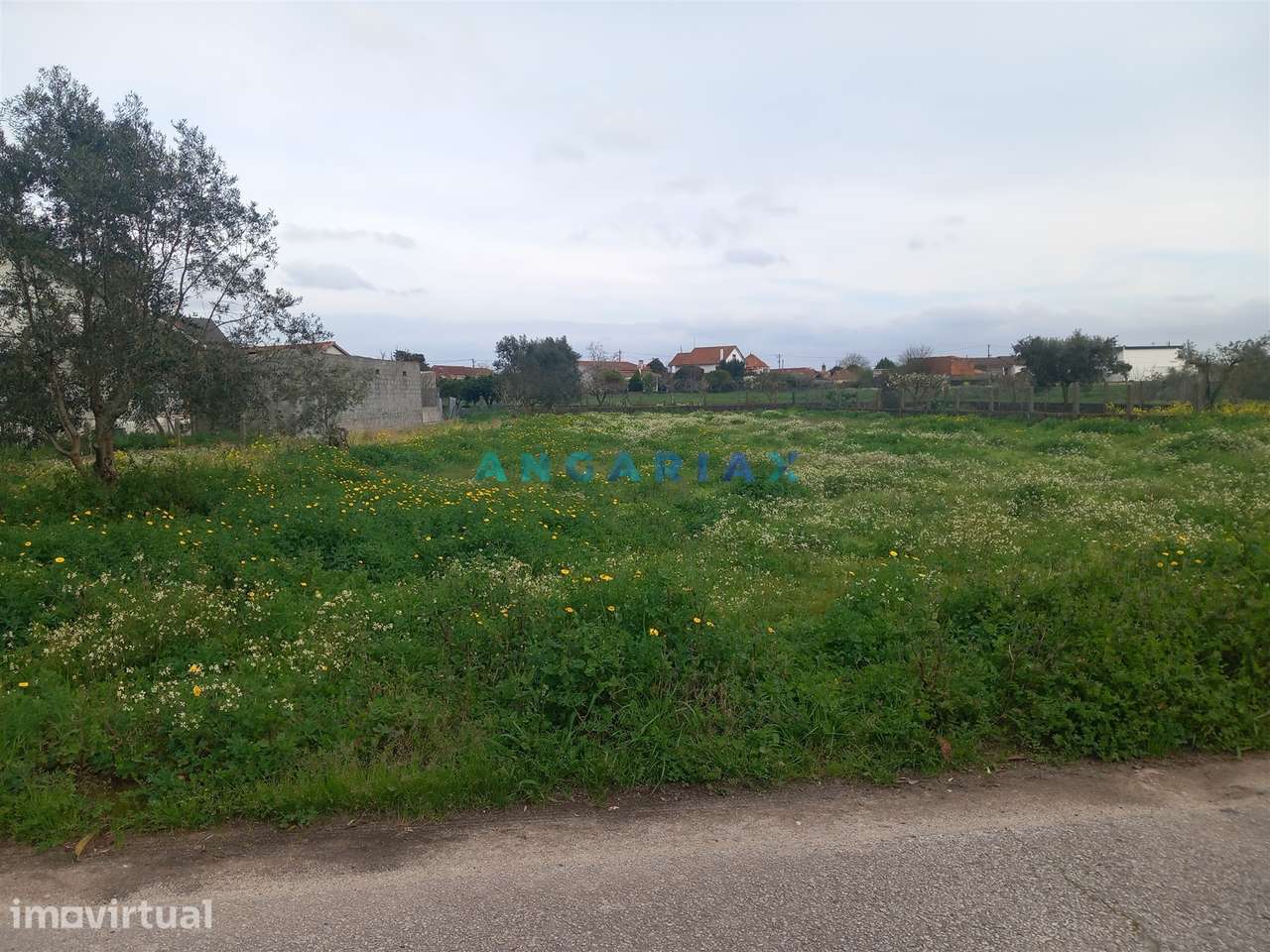 ANG1601 - Terreno para Venda em Vermoil, Pombal - Grande imagem: 3/6
