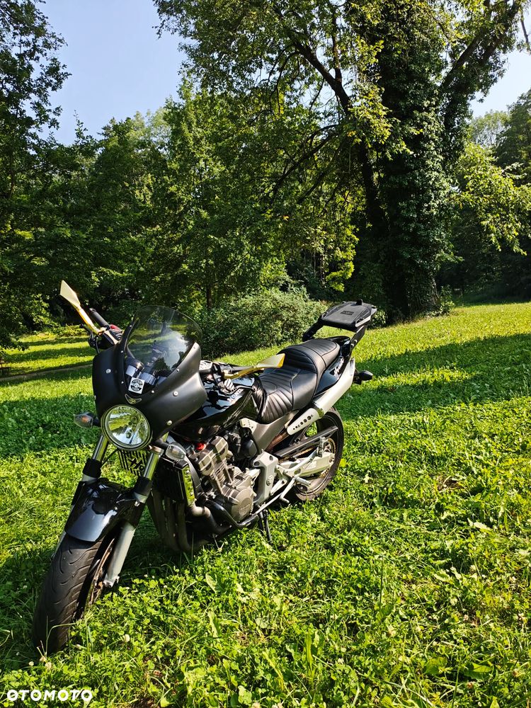Honda Hornet - 7