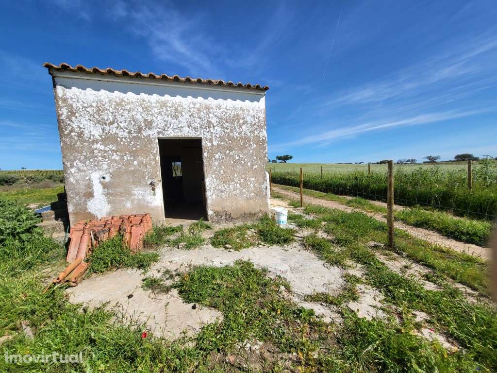 Moradia para recuperar inserida em terreno rústico de 5.750 m2 e ou... - Grande imagem: 5/15