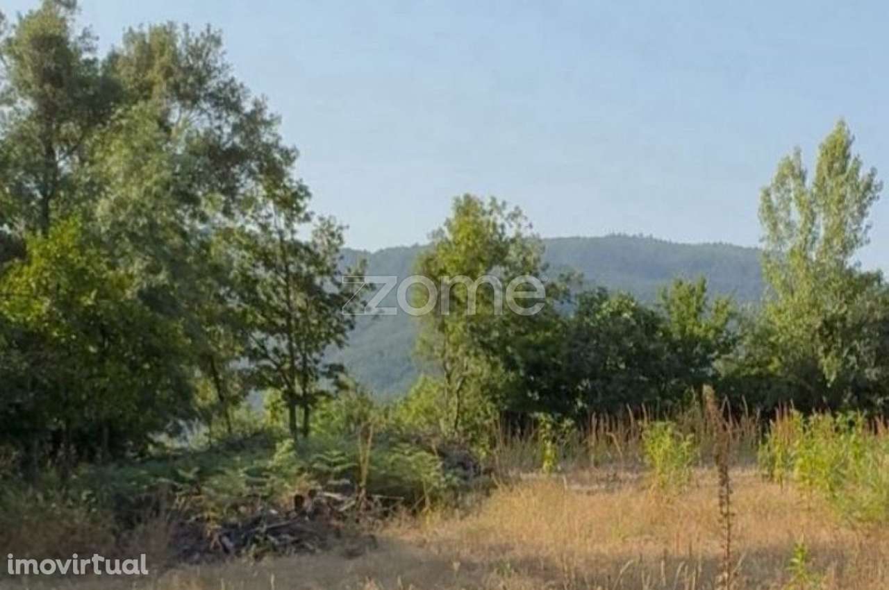 Terreno à Venda - Gerês - Grande imagem: 3/3