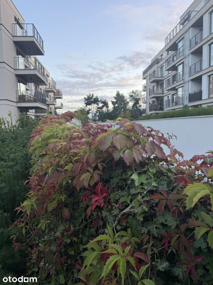3-pok. apartament blisko morza (nowy!), fitness, garaż podz. w cenie!