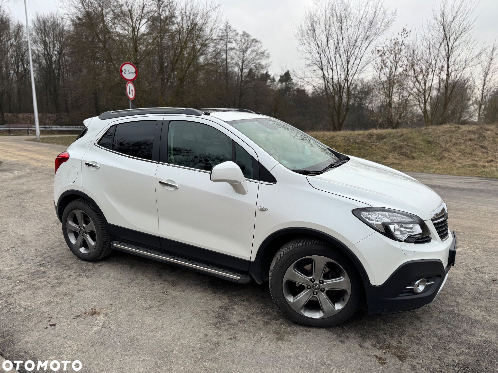 Opel Mokka 1.4 T Cosmo S&S 4x4 - 1