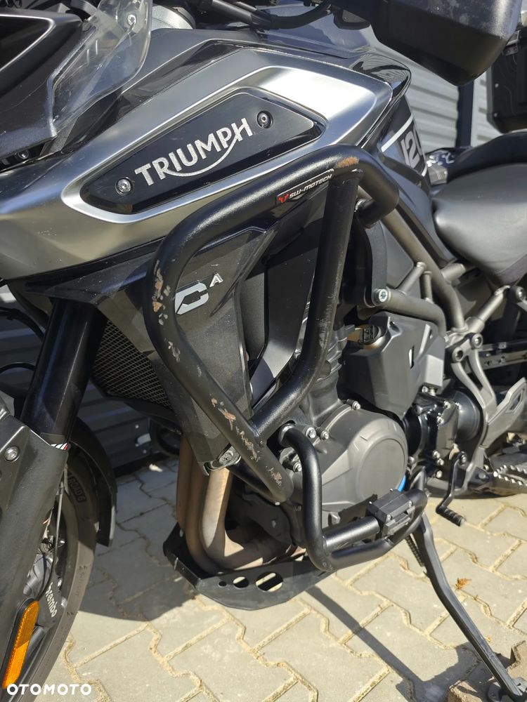 Triumph Tiger - 19