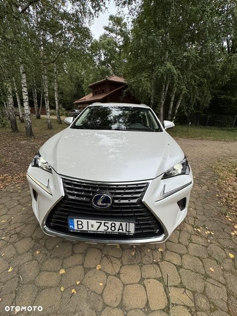 Lexus NX 300h Elegance Optimum AWD - 4