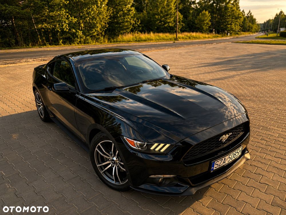Ford Mustang - 18