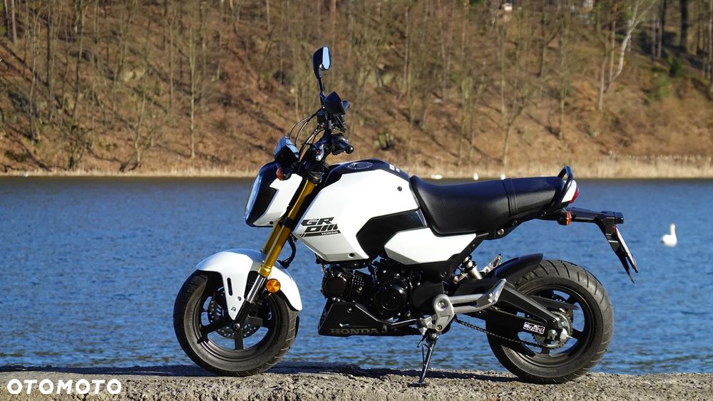 Honda MSX 125 - 4