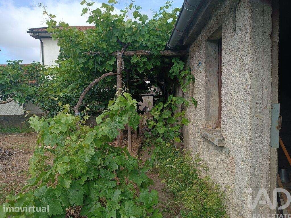 Casa / Villa T4 em Mogadouro, Valverde, Vale de Porco e Vilar de Rei d - Grande imagem: 5/33