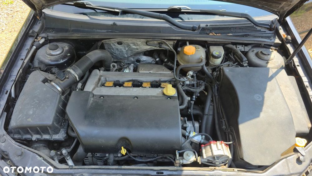 Opel Signum 2.0 T - 22