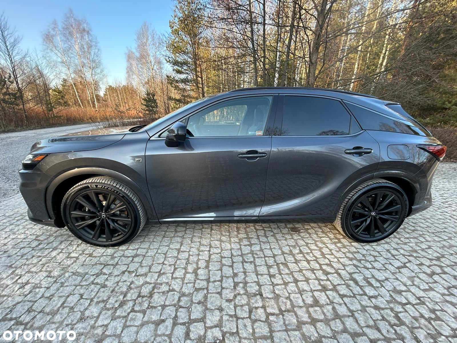 Lexus RX 500h F Sport - 3