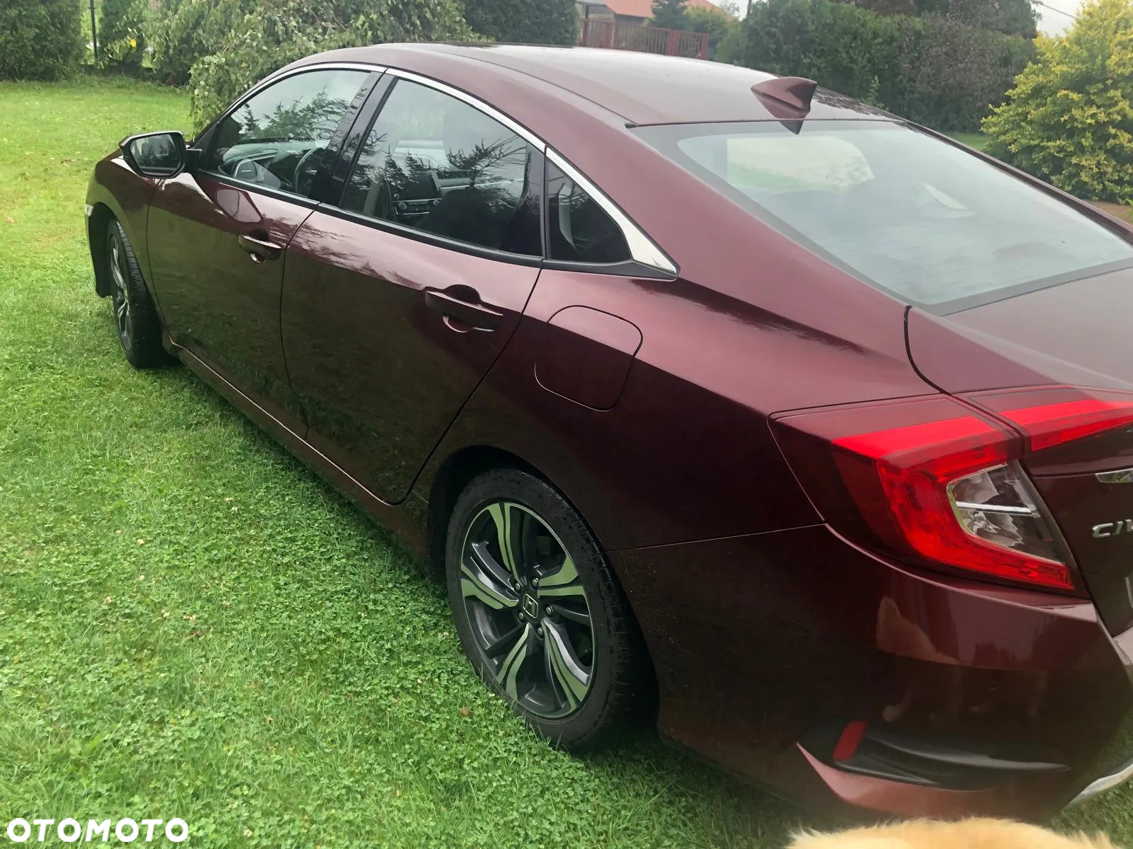 Honda Civic 1.5 T Sport (Navi) - 8