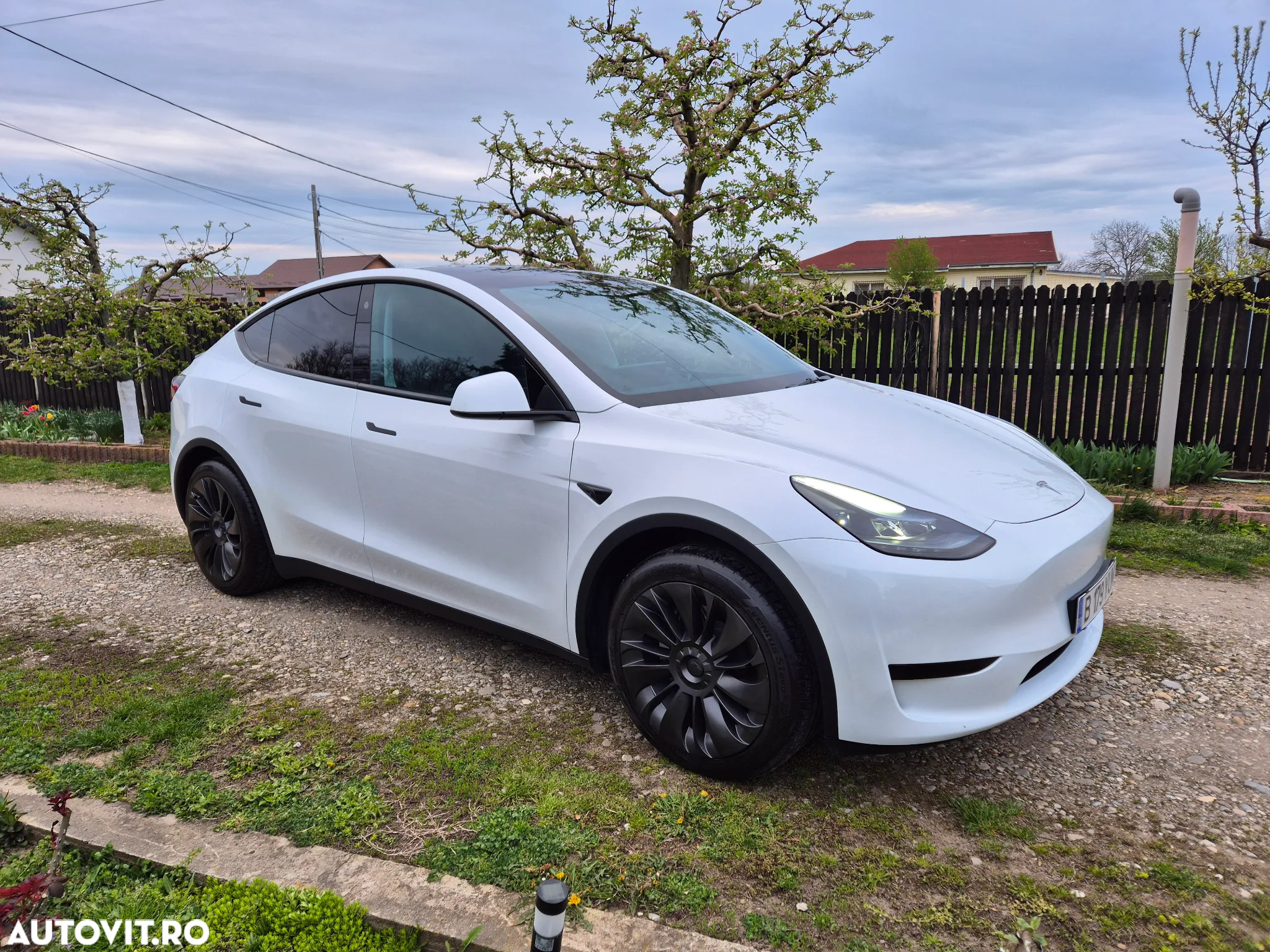 Tesla Model Y - 6
