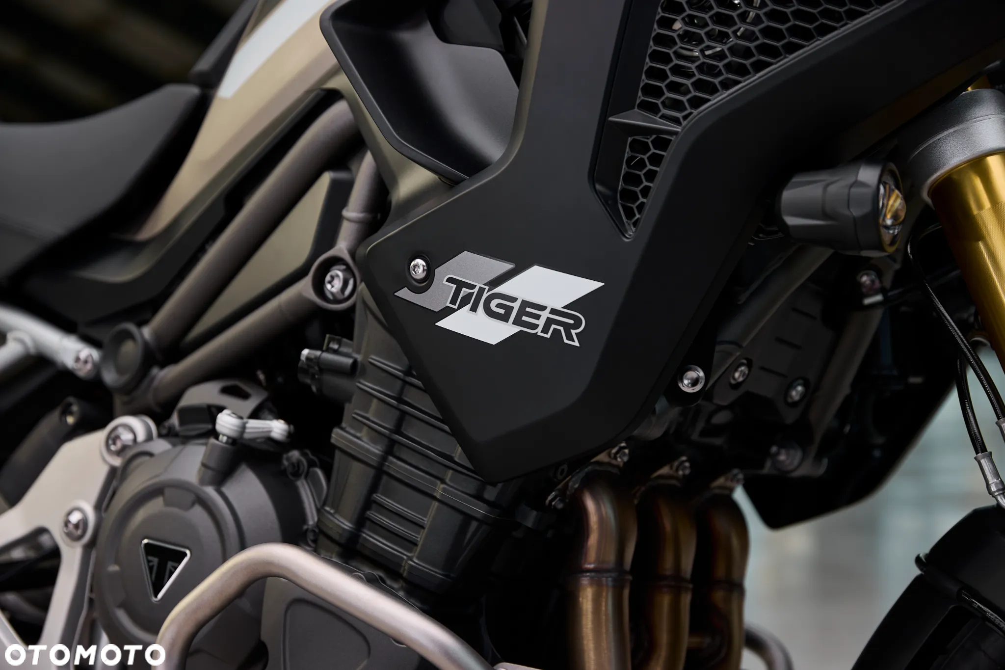 Triumph Tiger - 8
