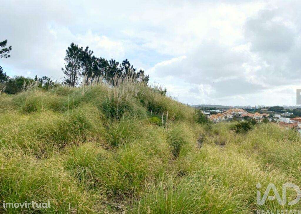 Terreno para construção em Queluz e Belas - Grande imagem: 4/19