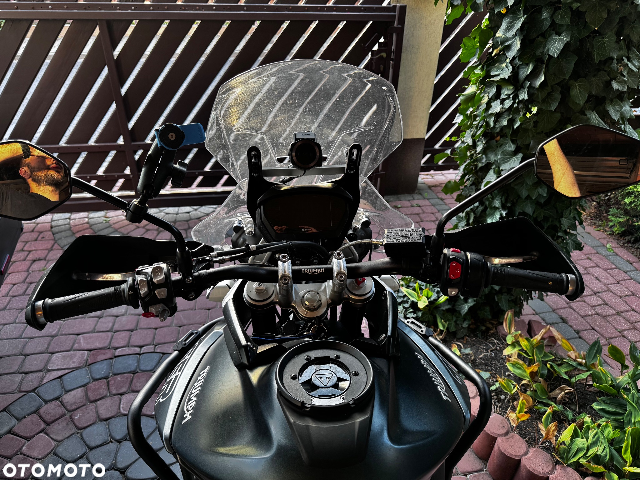 Triumph Tiger - 5