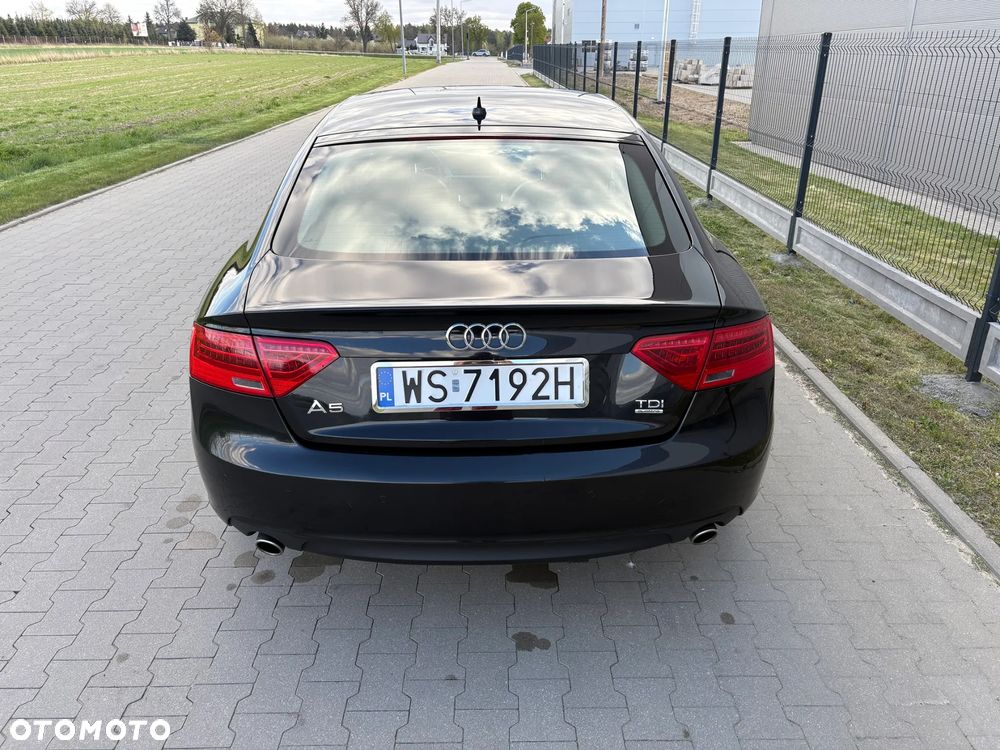 Audi A5 Sportback 3.0 TDI clean diesel quat DPF S tro - 5