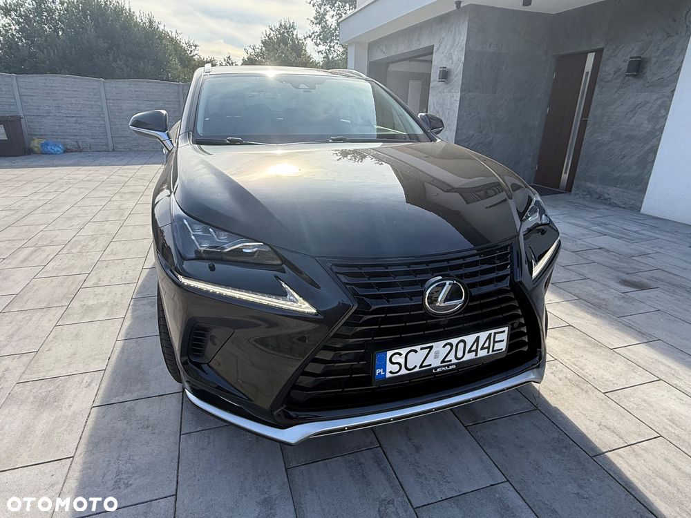 Lexus NX 300h Omotenashi AWD - 18