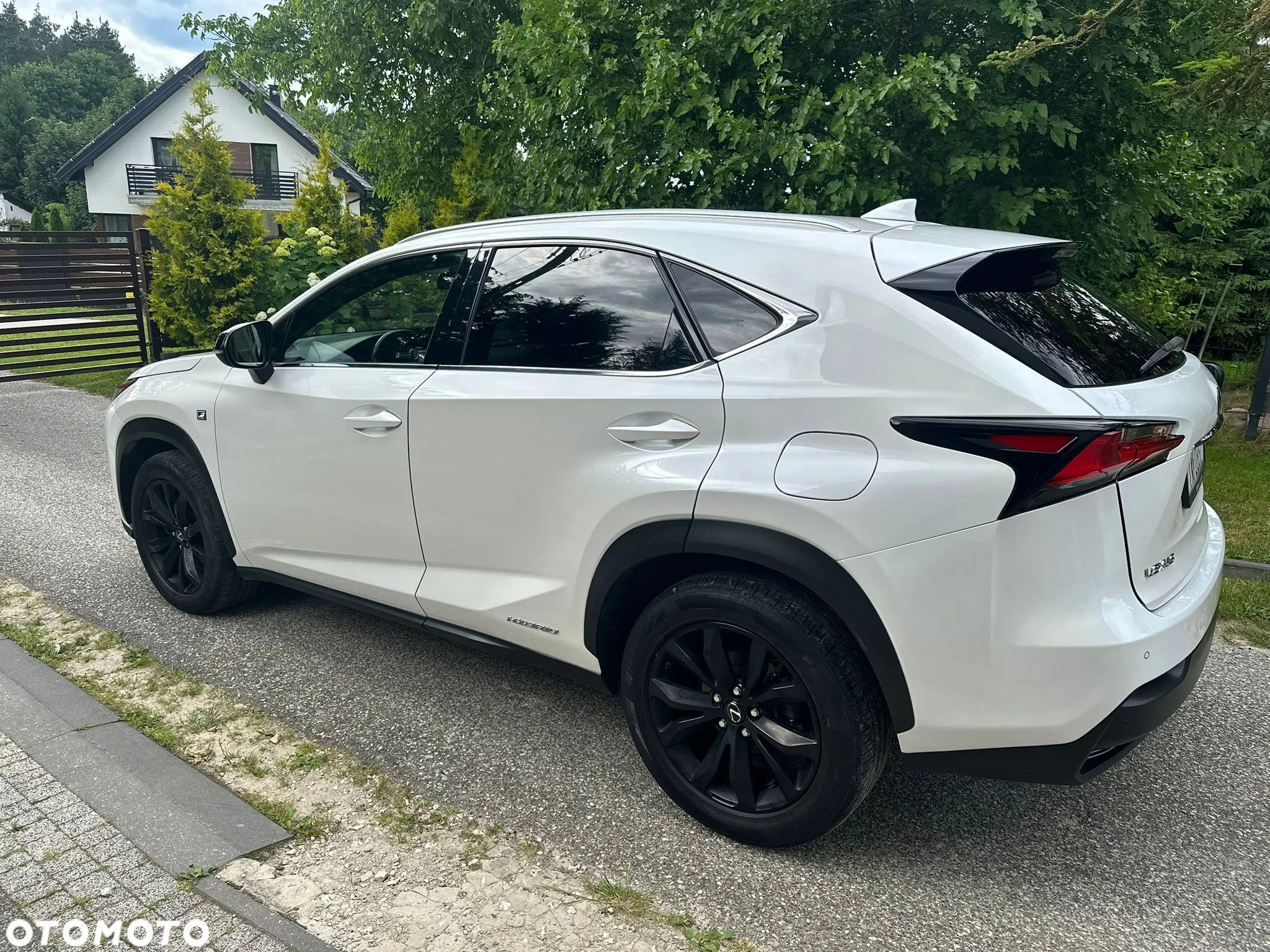 Lexus NX 300h - 18
