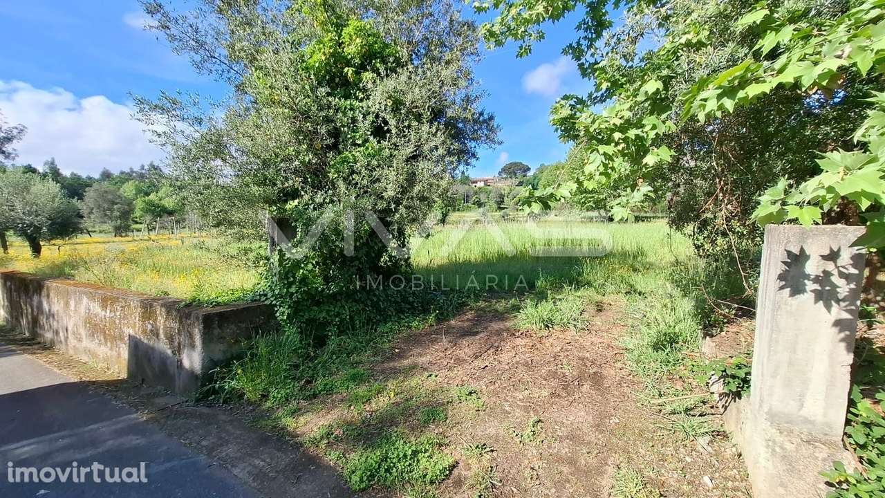 Terreno Rústico  Venda em Dornelas,Amares - Grande imagem: 3/23