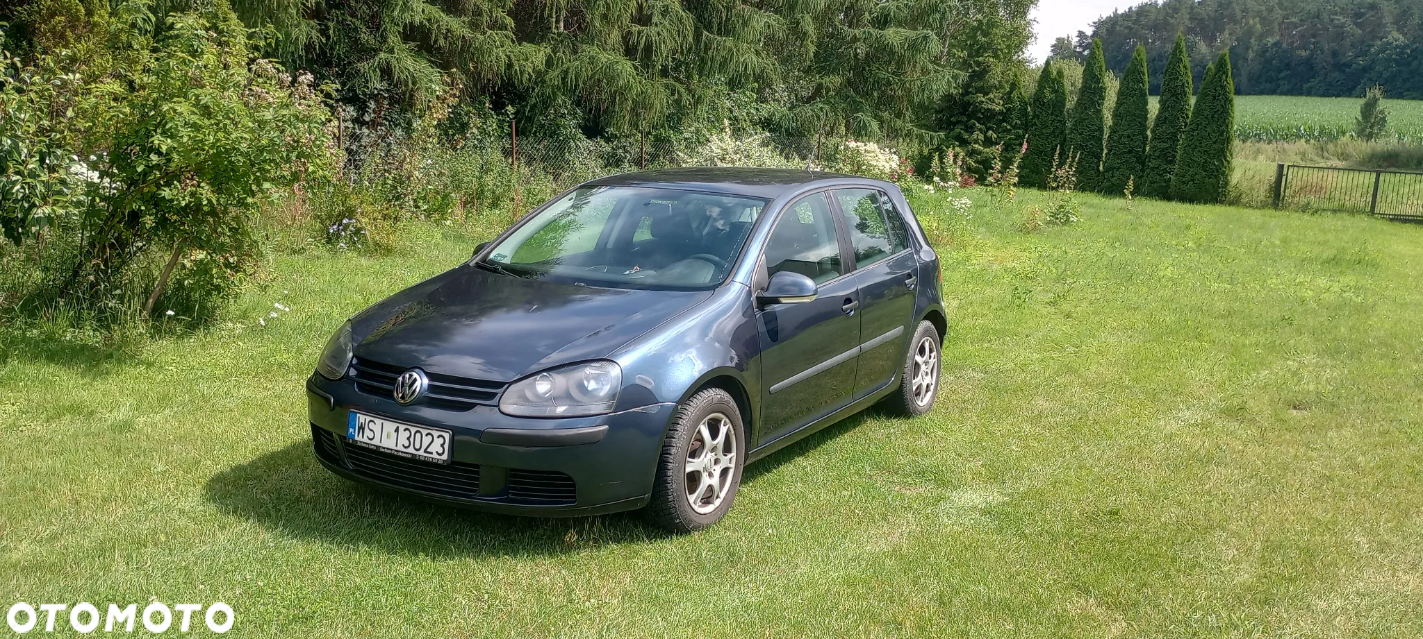 Volkswagen Golf - 2