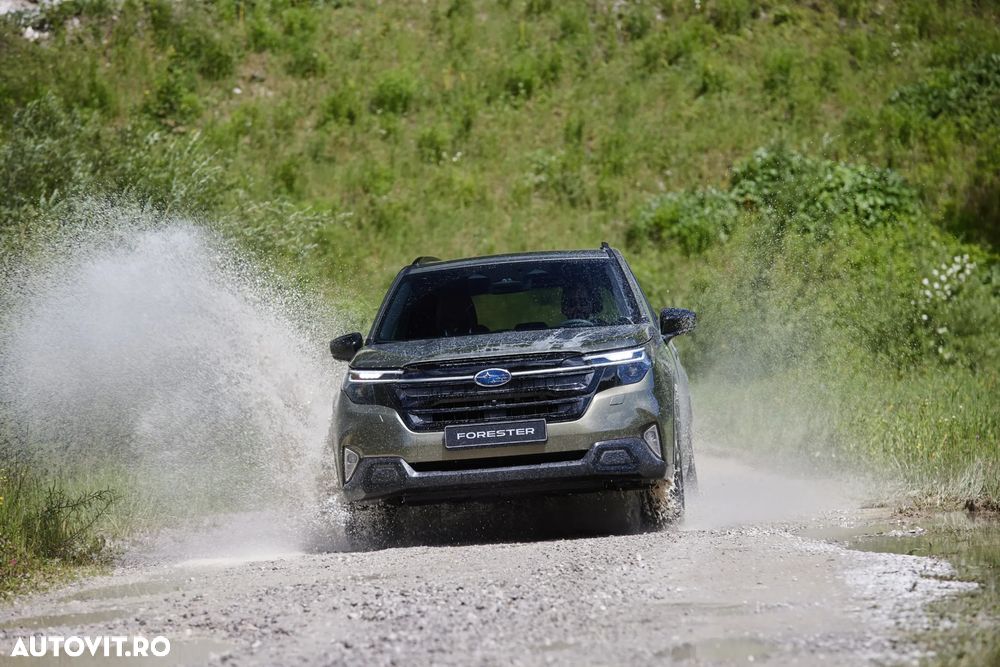 Subaru Forester - 2