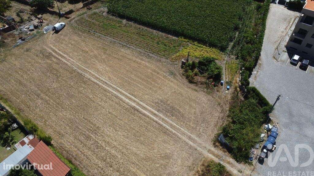 Terreno para construção em Ovar, São João, Arada e São Vicente de Pere - Grande imagem: 3/27