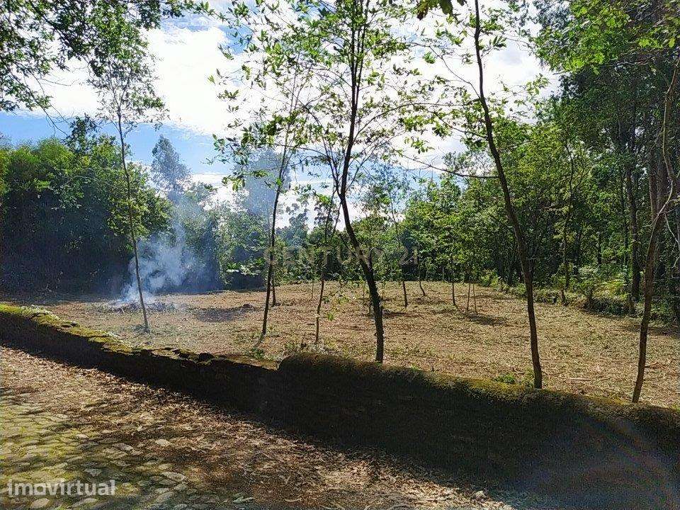 Terreno de 1.934m2 com todas as infraestruturas c/vista ao Rio Minho, - Grande imagem: 5/7