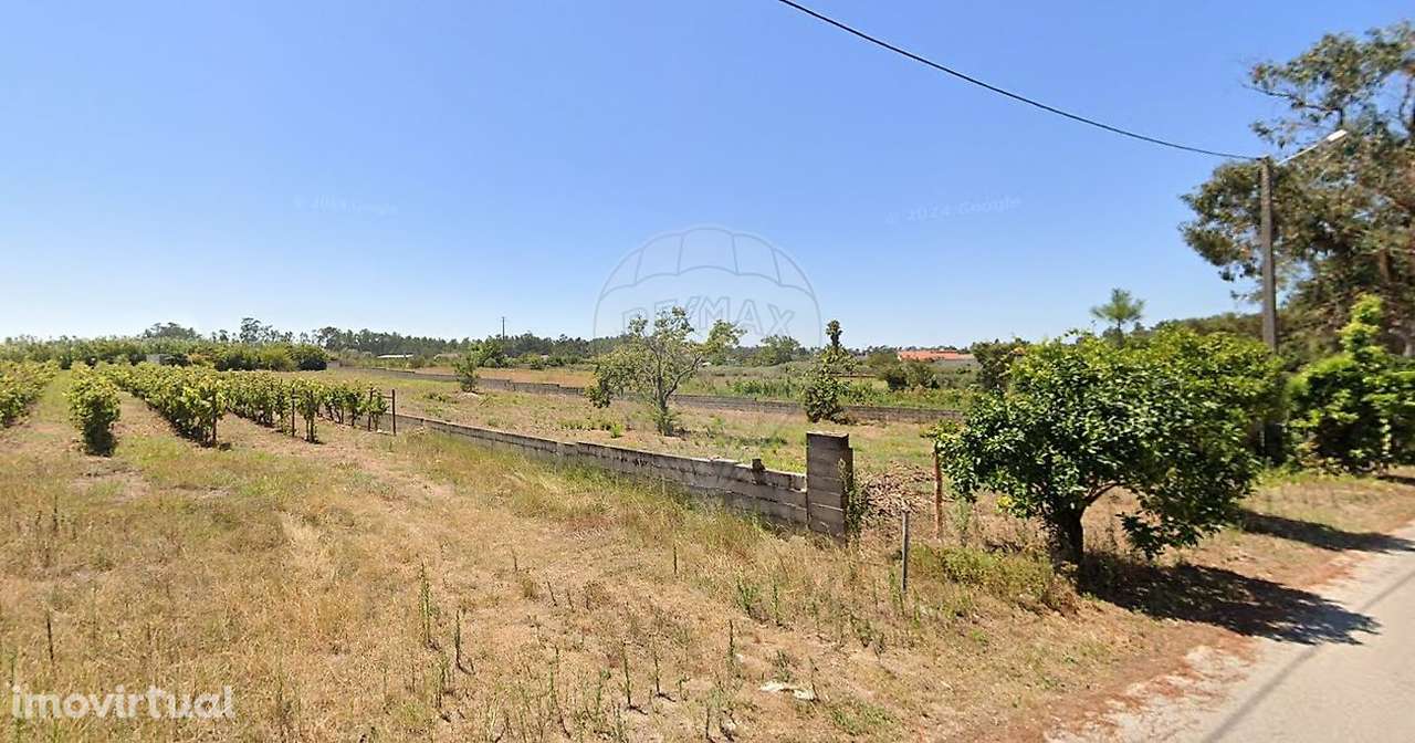 Terreno  para arrendamento - Grande imagem: 2/5