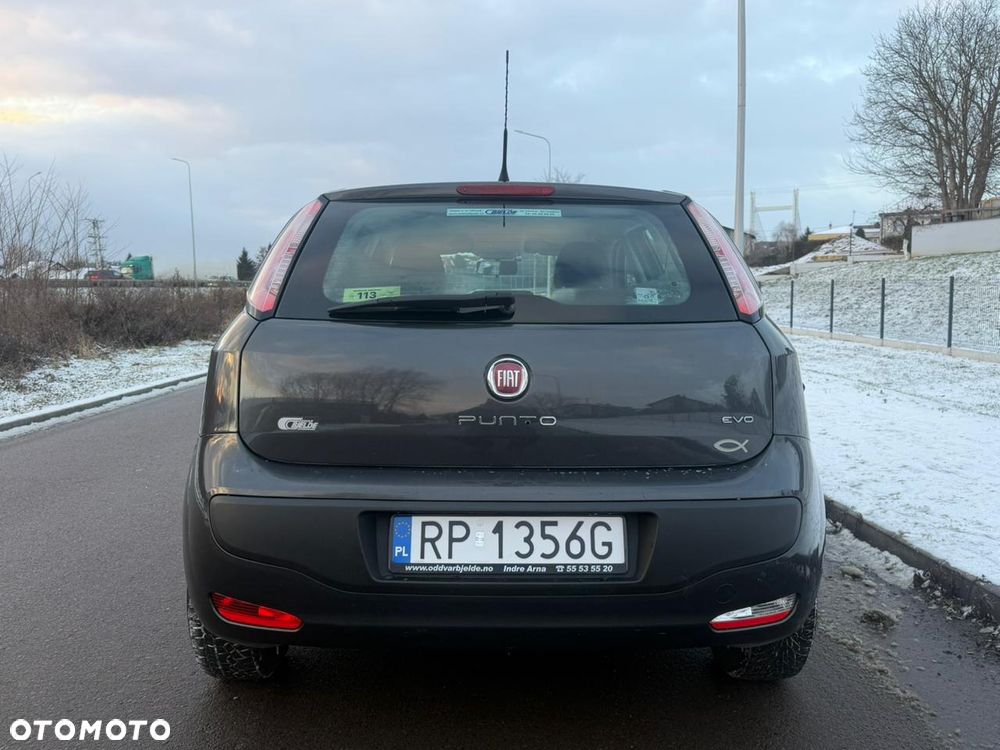 Fiat Punto - 6