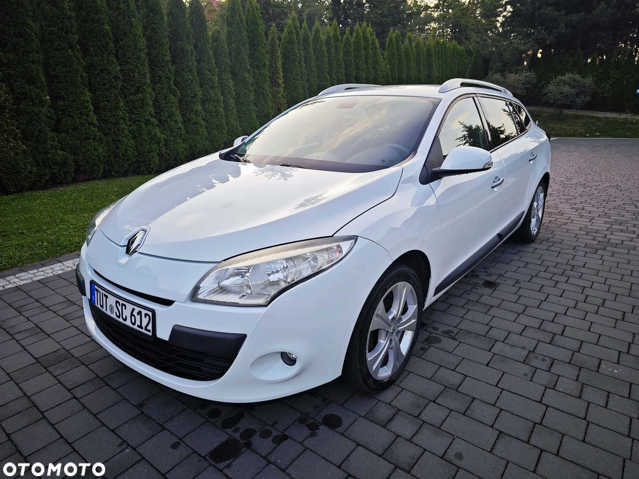 Renault Megane 1.6 16V Color Edition - 2
