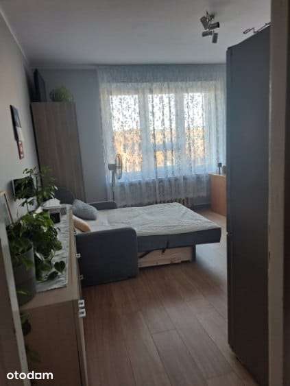 Do wynajęcia kawalerka w centrum Wrocławia