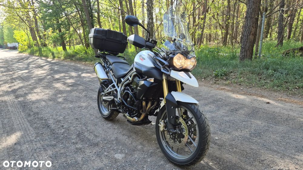 Triumph Tiger - 7