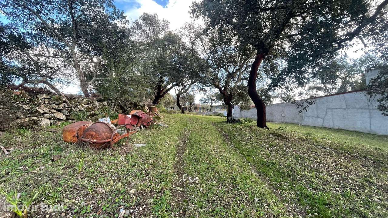 Terreno Rústico | Escalos de Cima, Castelo Branco - Grande imagem: 2/4