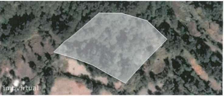 Quinta com Elevado Potencial Agrícola e Turístico - Grande imagem: 4/8