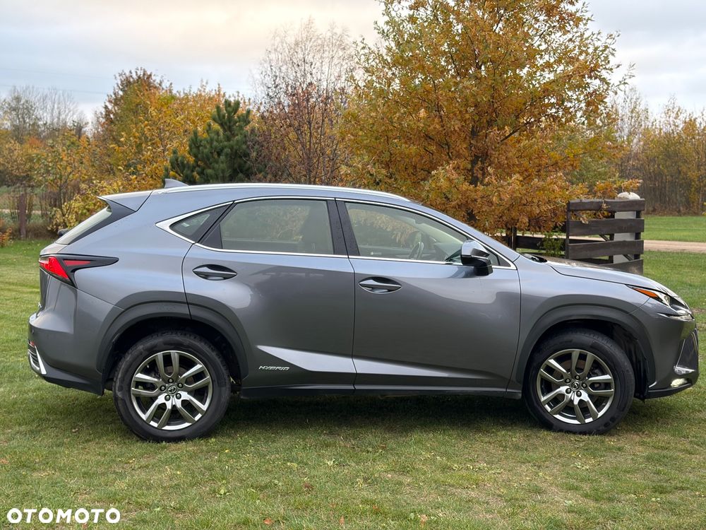 Lexus NX - 5