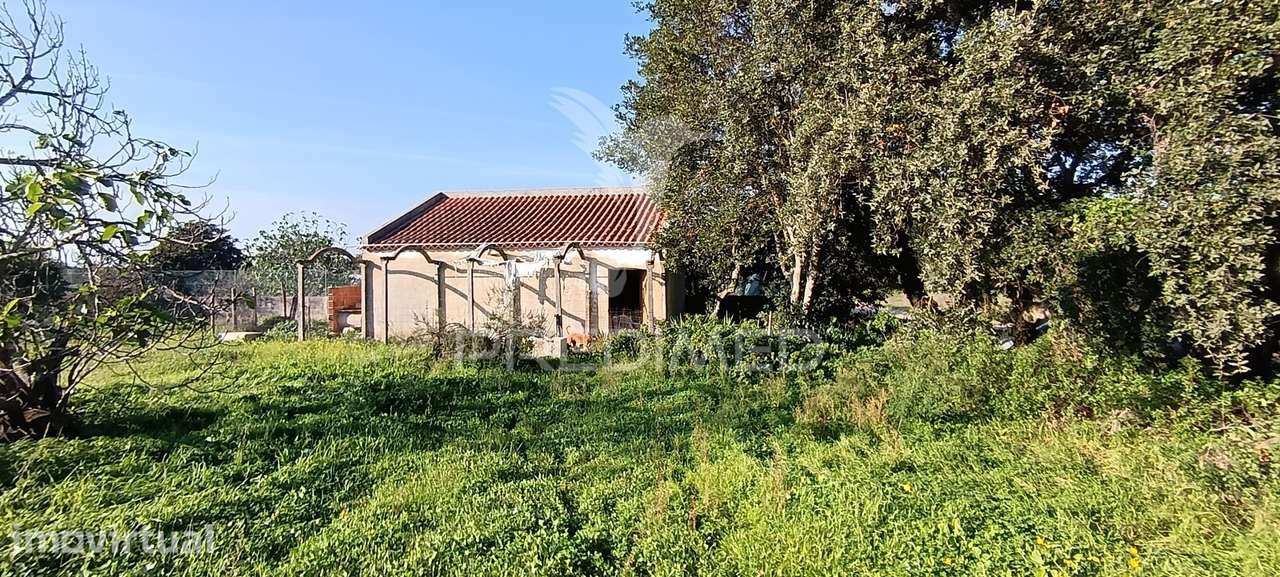 Terreno Rustico de 7.320m2 em Cabanas, Palmela - Grande imagem: 2/39