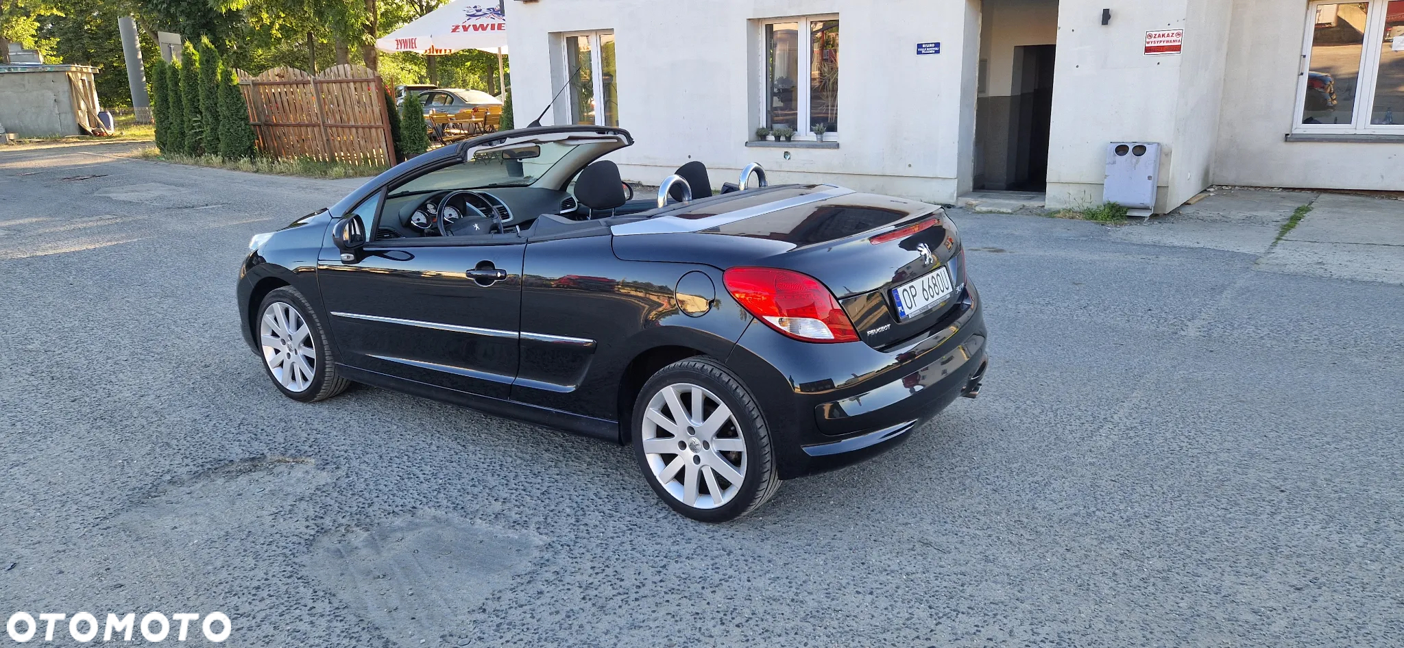 Peugeot 207 120 Sport - 10