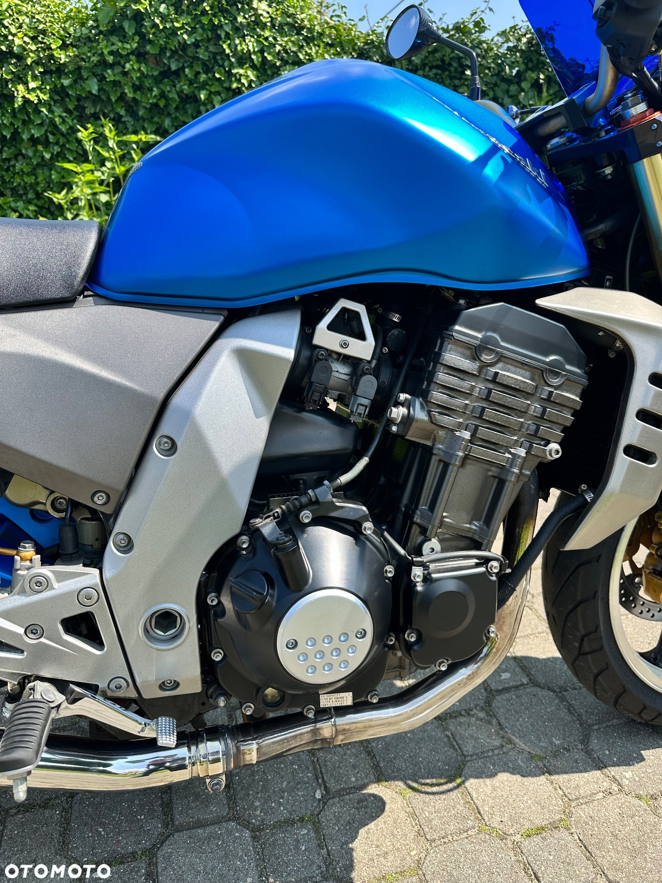 Kawasaki Z - 11