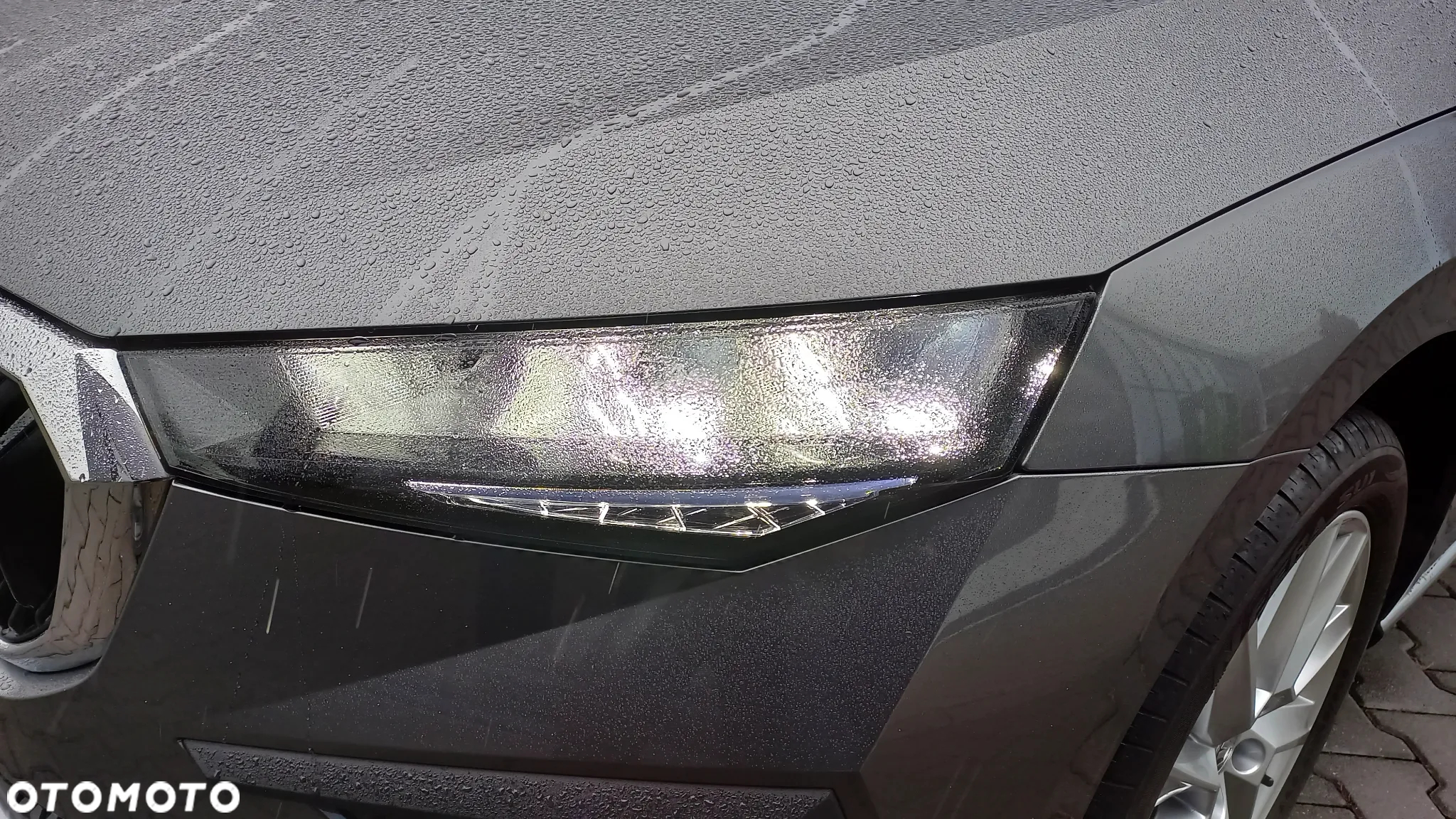 Skoda Scala - 10