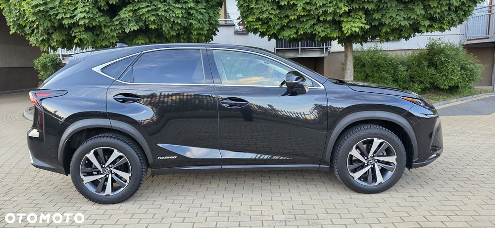 Lexus NX 300h Omotenashi AWD - 34