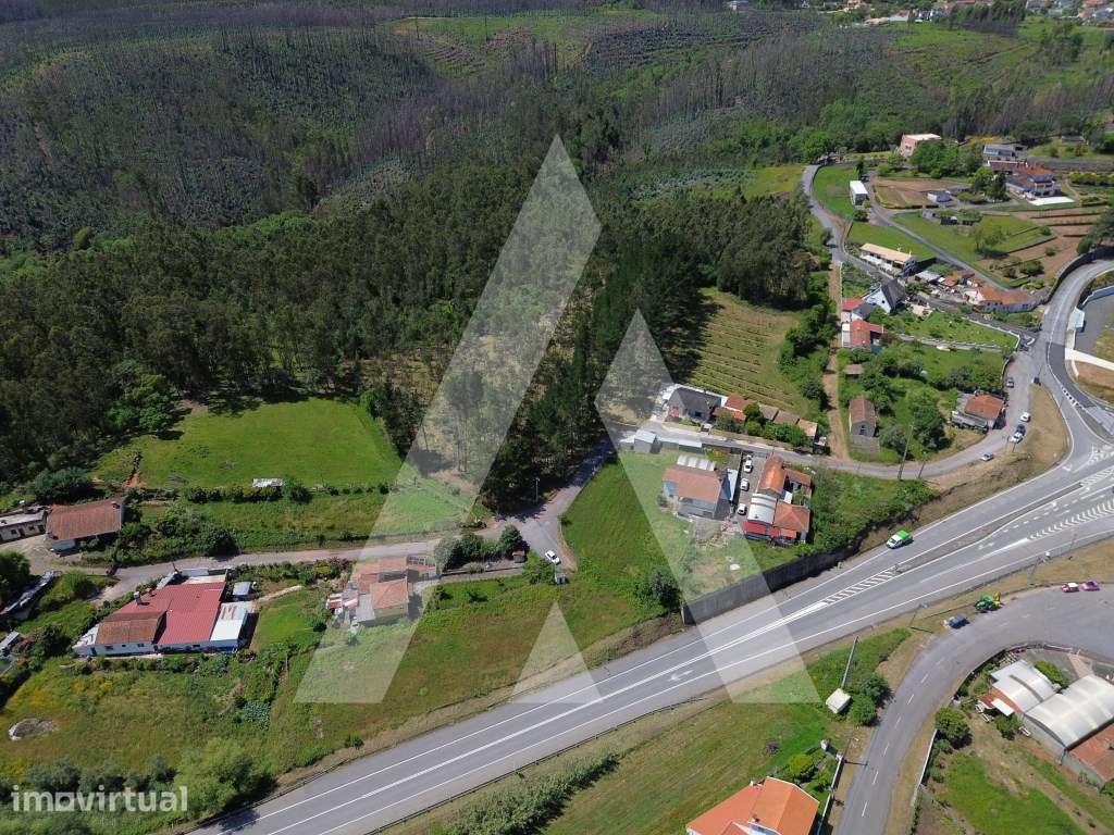 Terreno em Serém de Cima, Macinhata do Vouga - Grande imagem: 2/15