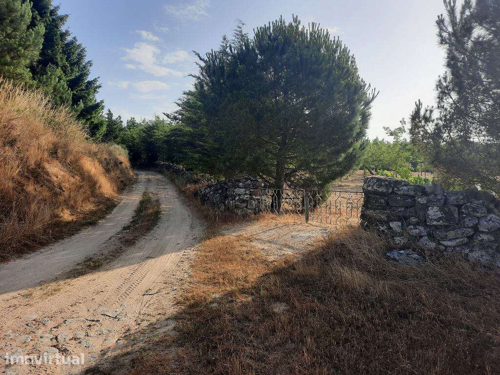 Venda de terreno - Grande imagem: 3/49