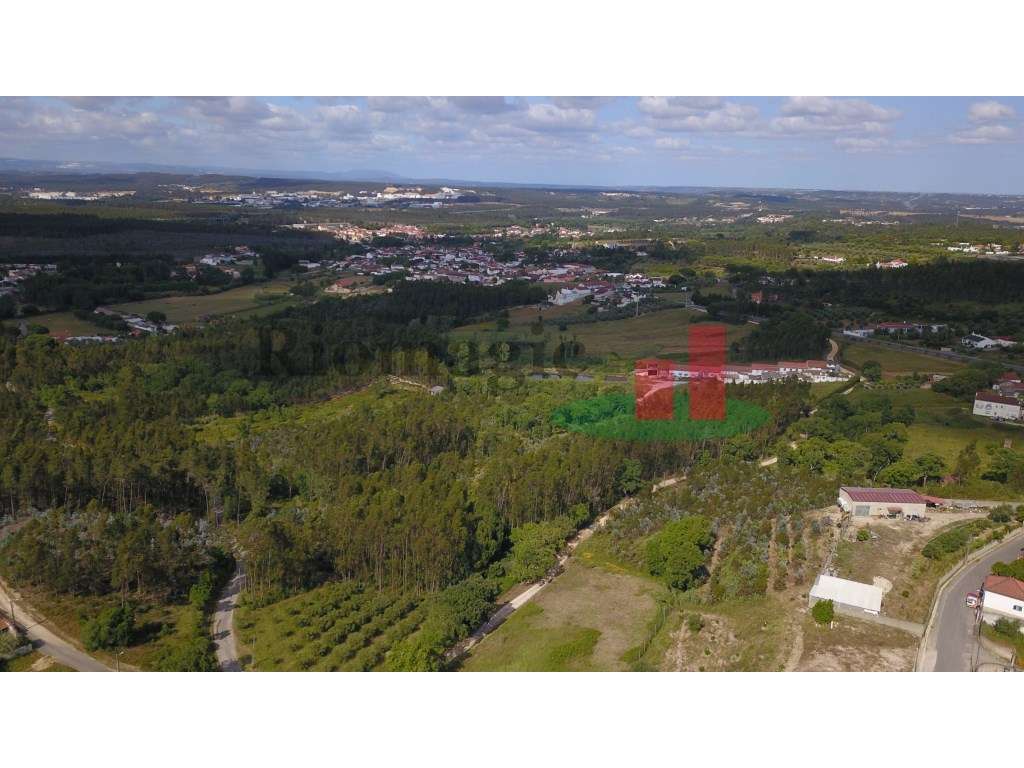 Terreno com Construção de Apoio Agrícola***RIOMAGIC*** - Grande imagem: 3/13