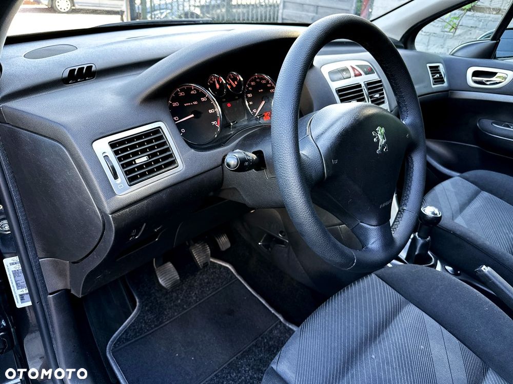 Peugeot 307 110 Premium - 17